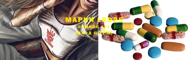 дживик Пестово