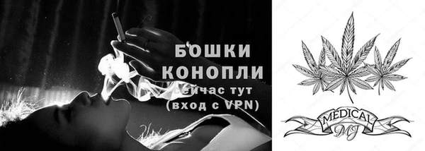 крисы Переславль-Залесский