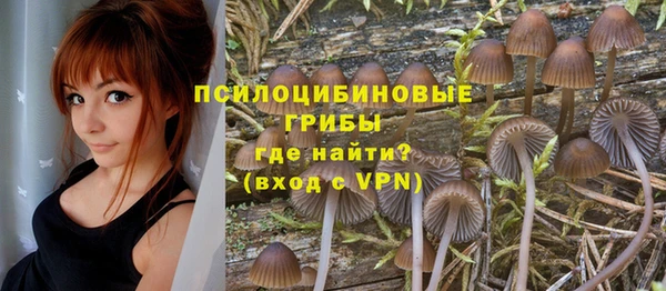 крисы Переславль-Залесский