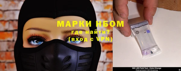 индика Осташков