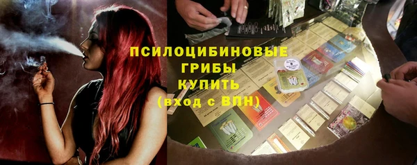 дживик Пестово