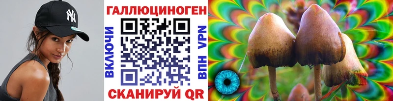 Псилоцибиновые грибы мицелий цена наркотик Белоозёрский